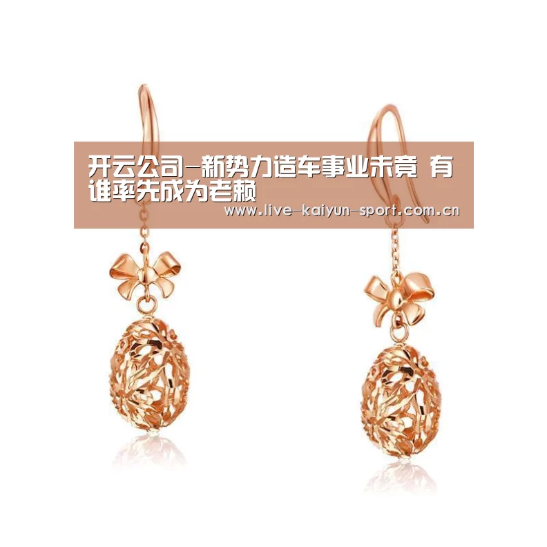 开云公司-新势力造车事业未竟 有谁率先成为老赖(图2) 开云体育